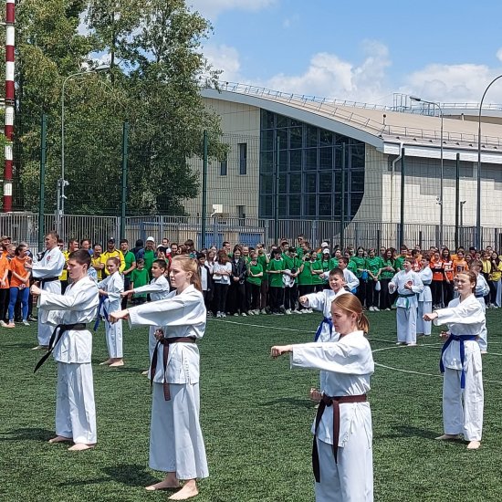 img (16)